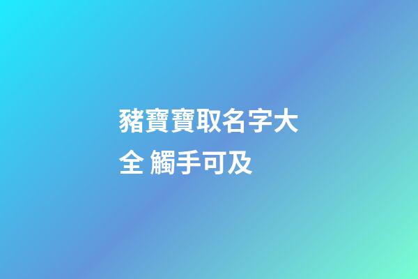 豬寶寶取名字大全 觸手可及